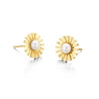 Daisy Stud Forgyldt | Spirit Icons