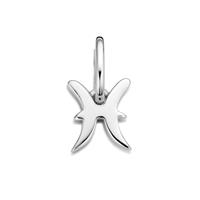 Stjernetegn vedhæng fisk sølv | Spirit Icons