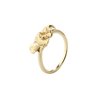 Folio Ring Forgyldt | Aqua Dulce